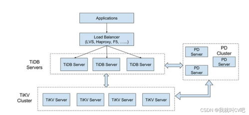 TiDB原理与实战 数据处理和存储支持服务详解